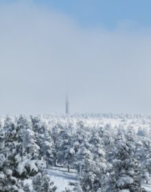 Petit coin de ciel plein d’espoir