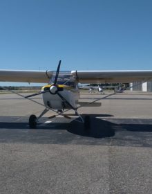 …le petit Jaune à Avignon,…