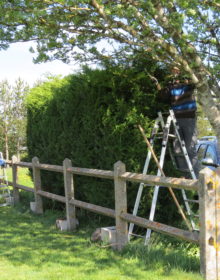 Hommes des bois...